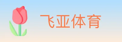 飞亚体育 logo